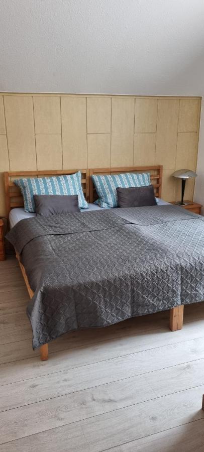 Grahl'S Ferienwohnung Markranstädt Dış mekan fotoğraf
